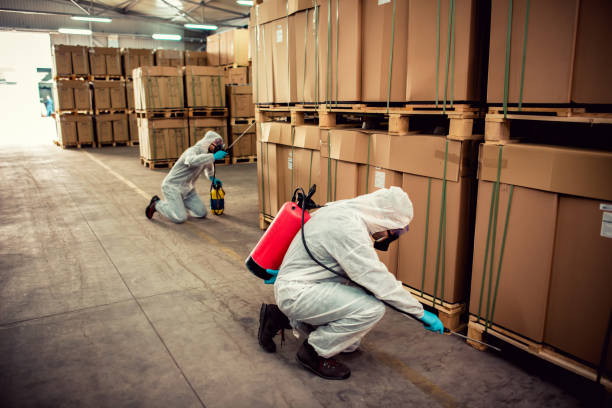  Round Lake Park, IL Pest Control Pros