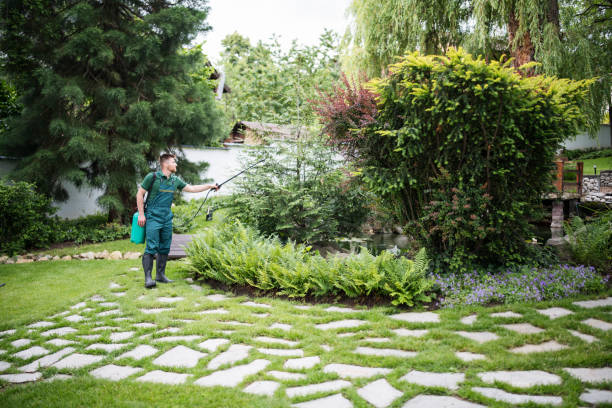 Best Pest Prevention Services  in Round Lake Park, IL