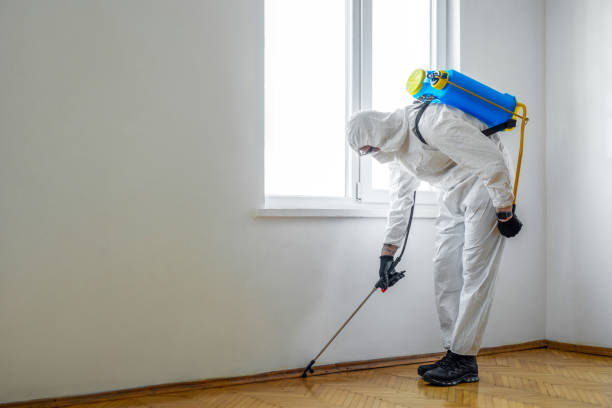 Best Emergency Pest Control  in Round Lake Park, IL
