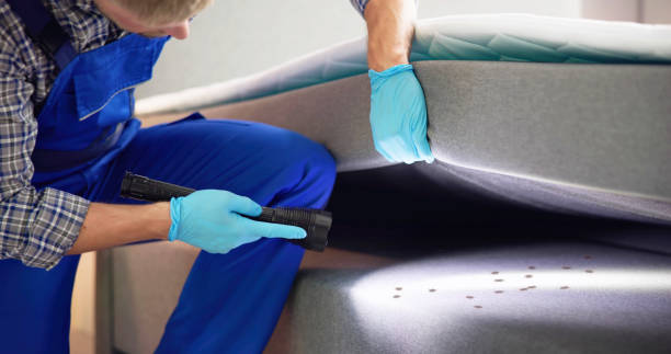 Best Flea Control Services  in Round Lake Park, IL